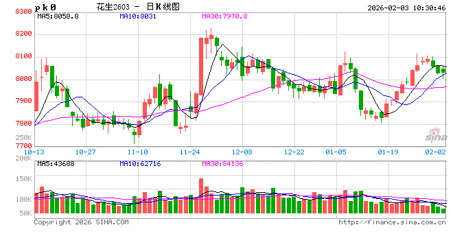 华泰期货:豆一短期支撑偏强,花生节前交投分化