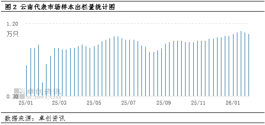 春节行情“熄火”:云南蛋价冲高回落 2月或加速探底