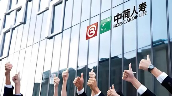 中荷人寿2025年:保费稳增但投资、偿付、合规承压