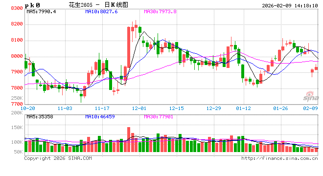 “中央一号文”再提花生 种植积极性受多因素影响