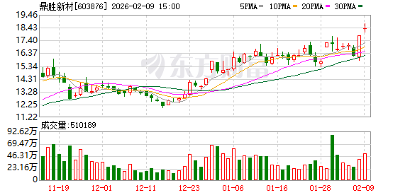 鼎胜新材：公司无逾期对外担保的情形