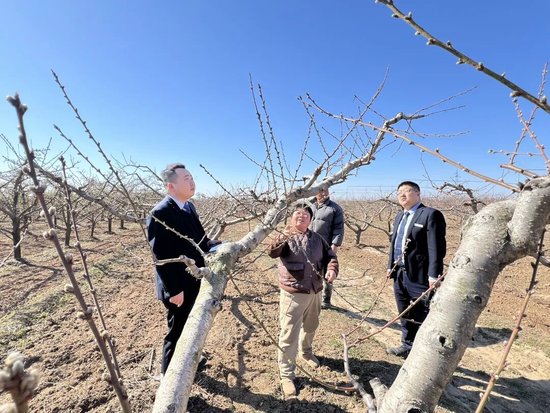 走在前，做示范！看这家农商银行如何传承“背包精神”服务地方经济发展
