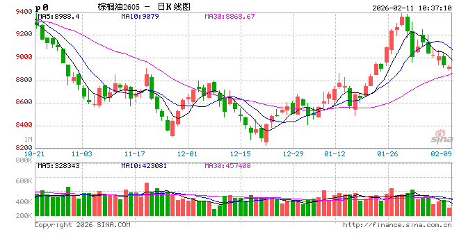 【市场聚焦】棕榈油:马来局1月报告