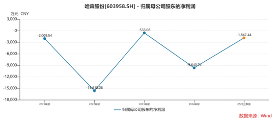 跨界对赌首年“爽约”，哈森股份信披违规再收警示
