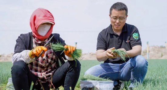 叮咚买菜:活到被收购的那一天