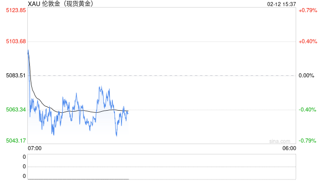 金价上涨与国际货币体系变革