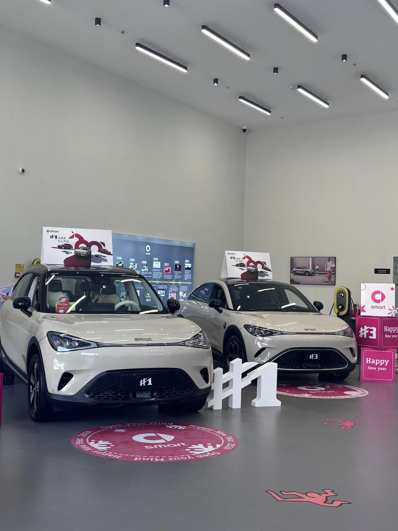 Smart开年遇冷,1000辆限量车至今未能售罄