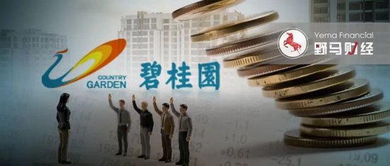 杨惠妍被罚、董事会力挺!碧桂园千亿债务危机解除了吗?