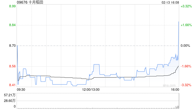 十月稻田于2月13日斥资789.85万港元回购90万股