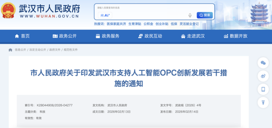 利好来了!事关人工智能,武汉最新发文