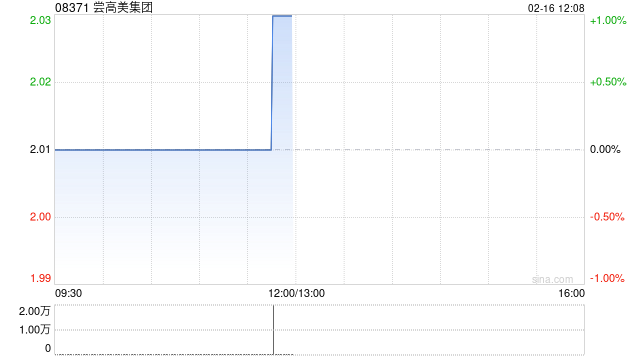 尝高美集团因购股权获行使而发行30万股