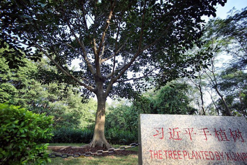 【申万宏源研究春节见闻】深圳:科创的咏叹,续写春天的故事