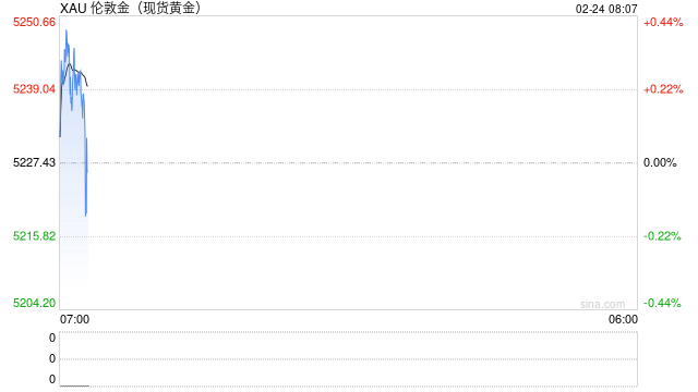 消费仍具韧性，金属板块易涨难跌