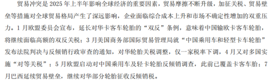 营收向上，利润向下，玲珑轮胎：遇成本与关税双重夹击