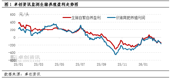 高瞻远“猪”：节后亏损再度加剧 生猪养殖何时走出困境？