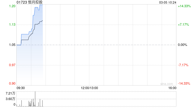 恒月控股委任大华马施云会计师事务所为新任核数师