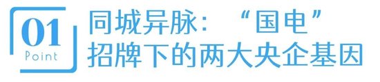 扎根南京的“国电双雄”，股价同一天创历史新高