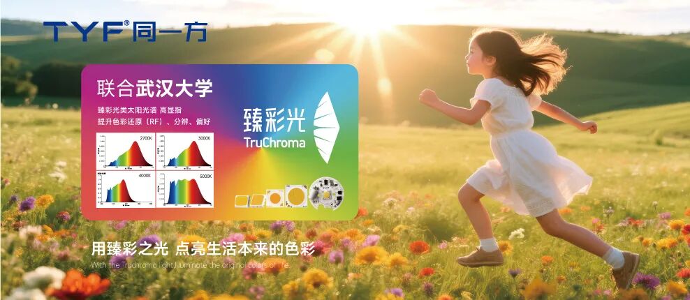 2026全国两会观察：显示产业竞争升维，AI+生态成关键变量