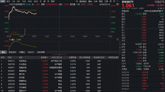 逆市大涨!华宝基金农牧渔ETF(159275)上探2.57%!生猪产能去化持续