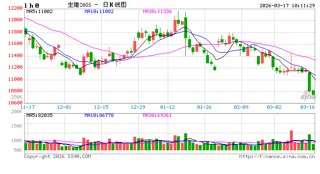 华泰期货:生猪养殖成本有所趋缓,压力预期得以缓解