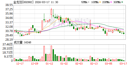 金龙羽：公司2021年投资新能源固态电池项目，目前中试进展顺利，部分固液电池产品经专业检测合格
