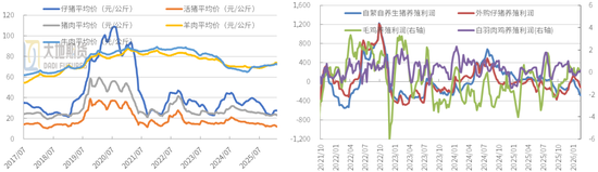 豆粕:短期支撑仍在,中期拐点存疑
