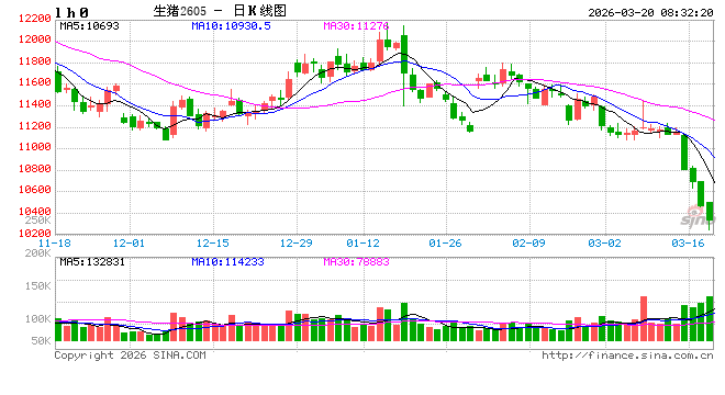 生猪期货主力合约创新低 行业产能调控有待继续
