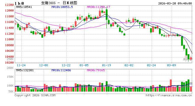 华泰期货：市场情绪静待逐步回温，猪价维持窄幅整理运行