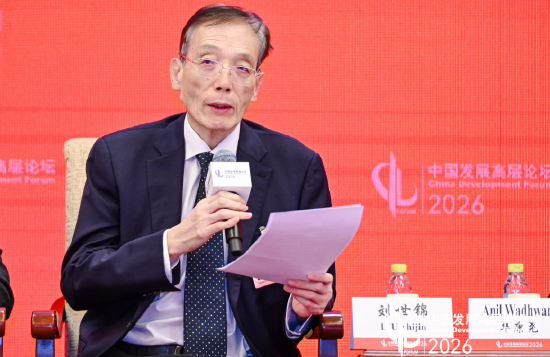 刘世锦：源头创新是绿色转型之本