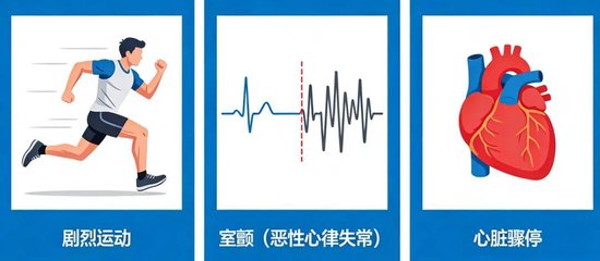 毛大庆：张雪峰“跑”倒了？别让跑步替“过劳”背了黑锅！