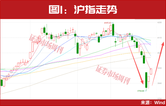 林园出手！又一轮低吸机会来了？