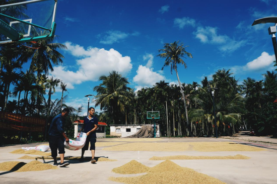 大茅村的她给余华写了一封信