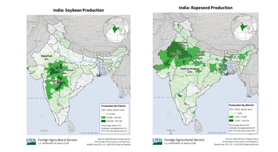 避险情绪回落，关注全球植物油头号买家行为边际变化