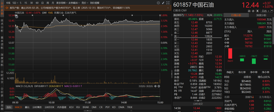 中东局势超出预期！中国石油回应“底气”充足
