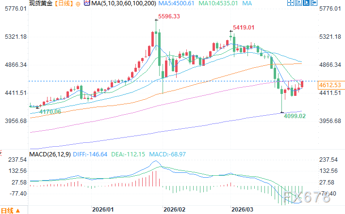 分析师:今年黄金表现更像风险资产被抛售,但去美元化趋势仍支持其长期投资价值