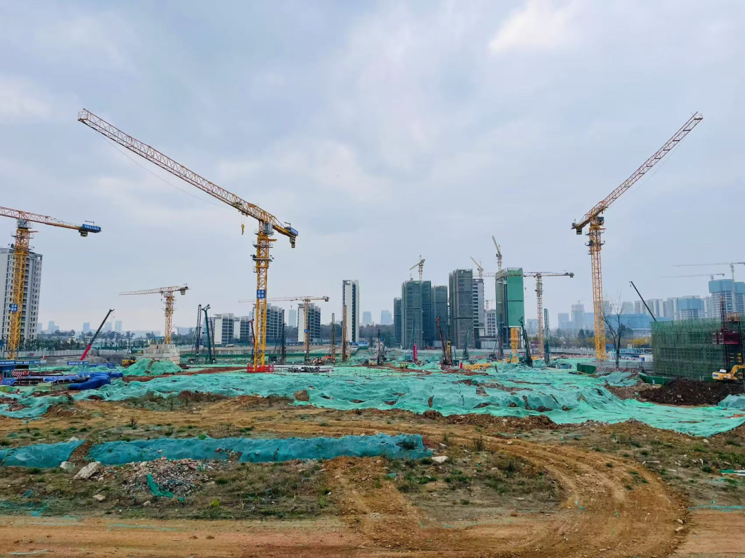 成都土拍“零流拍”：核心热、外围稳，分化中显韧性