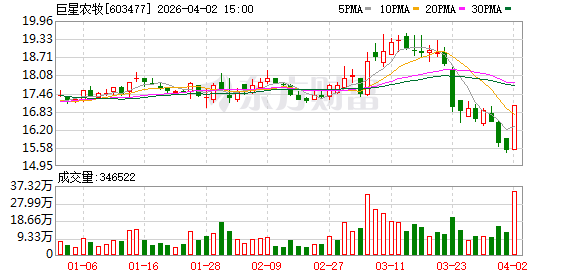 巨星农牧：公司持续聚焦生猪养殖业务主航道