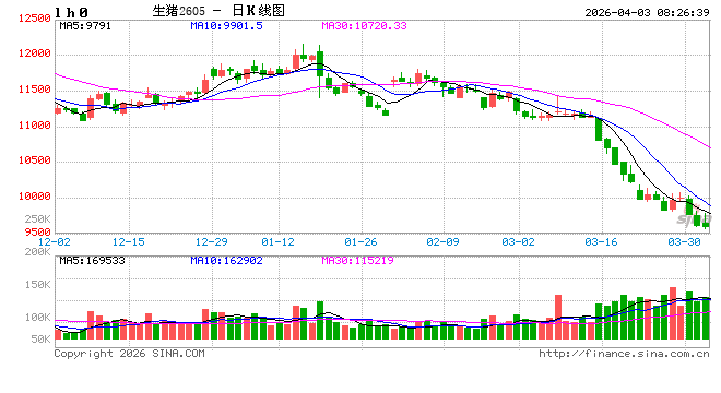利多来袭，这个板块全线飙涨！后市怎么走？