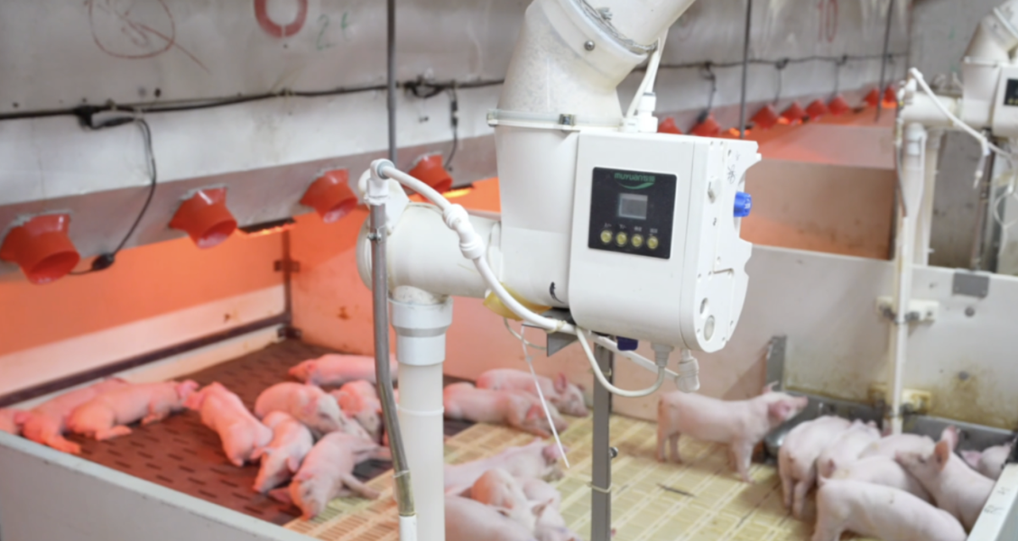 牧原股份出栏7798万创新高,然规模壁垒难掩\