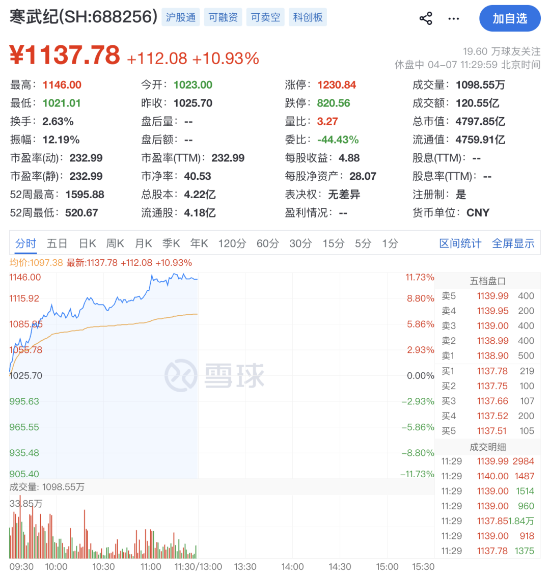 大爆发！688256，飙涨