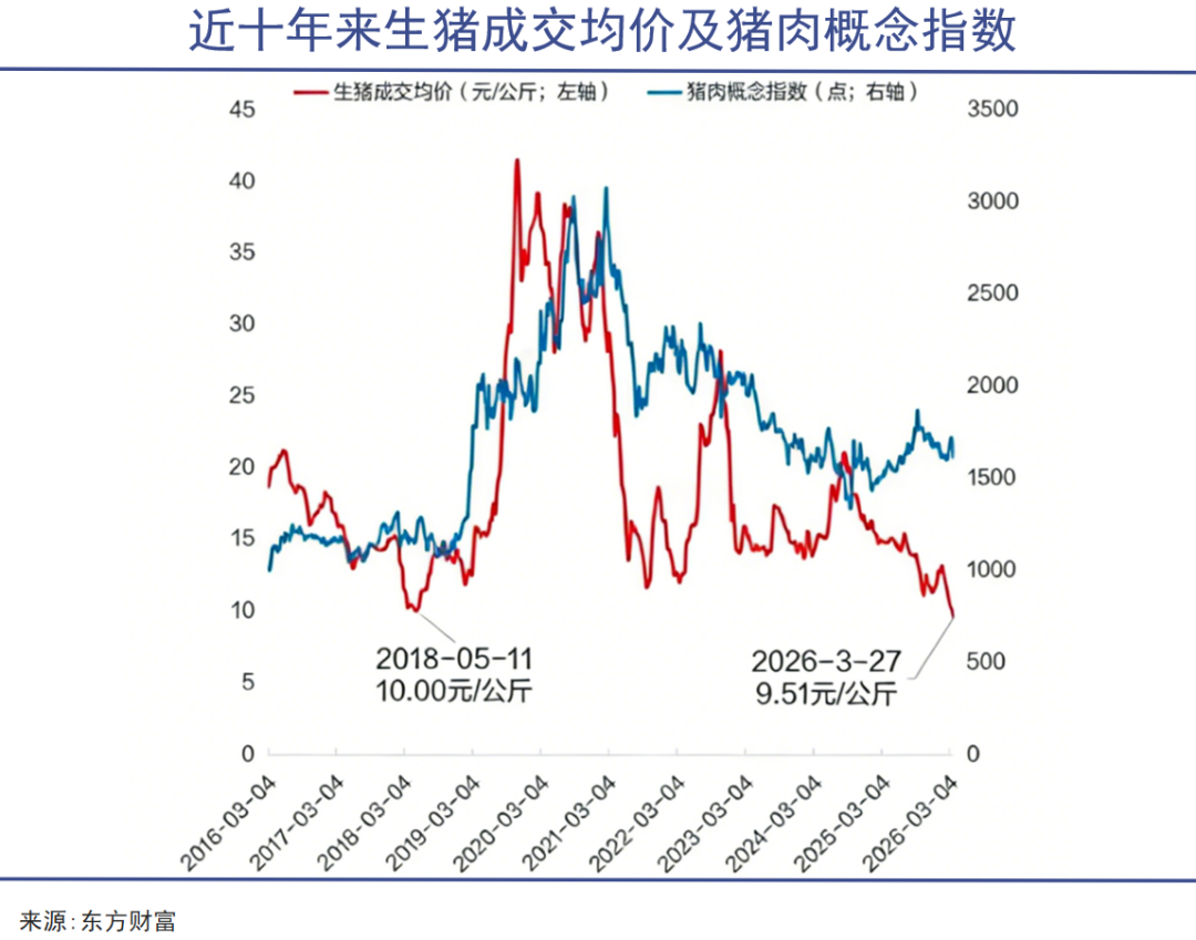 嗜血猪周期，前所未有
