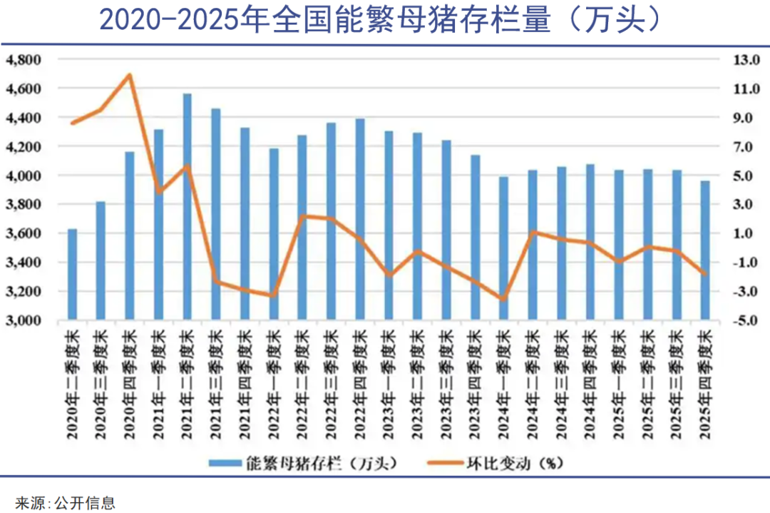 嗜血猪周期，前所未有