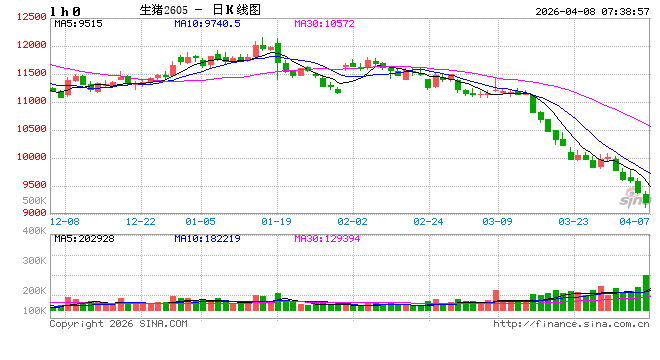 猪肉股大涨,生猪价格却不断下跌,原因是?