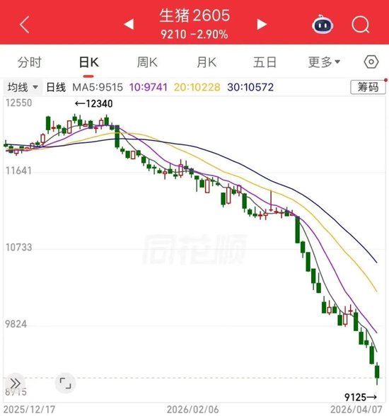 猪肉股大涨,生猪价格却不断下跌,原因是?