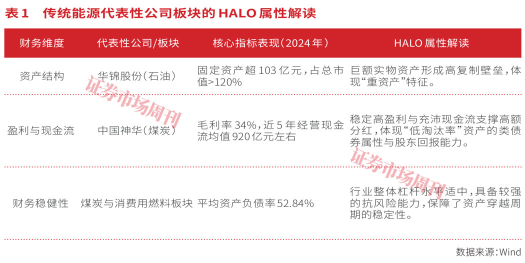 HALO资产:AI时代的“卖铲人”