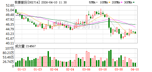 牧原股份:3月生猪养殖完全成本为11.6元/KG 商品猪销售收入同比下降三成