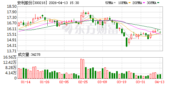 安利股份：2025年年度报告摘要
