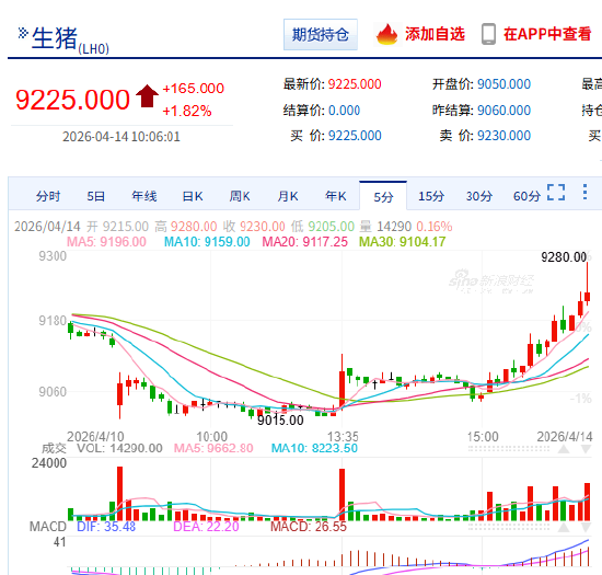 快讯：生猪主力合约日内涨超2.00%，最高触及9280元/吨