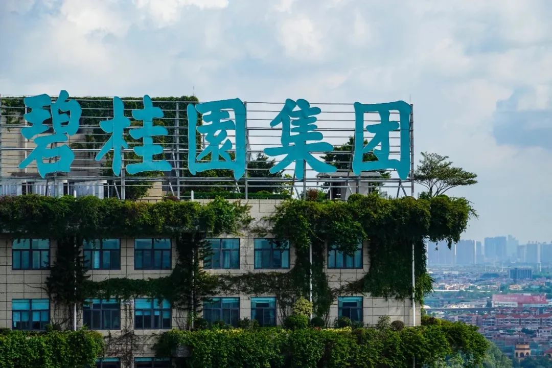 碧桂园又活过来了!建筑业的春天来了吗?