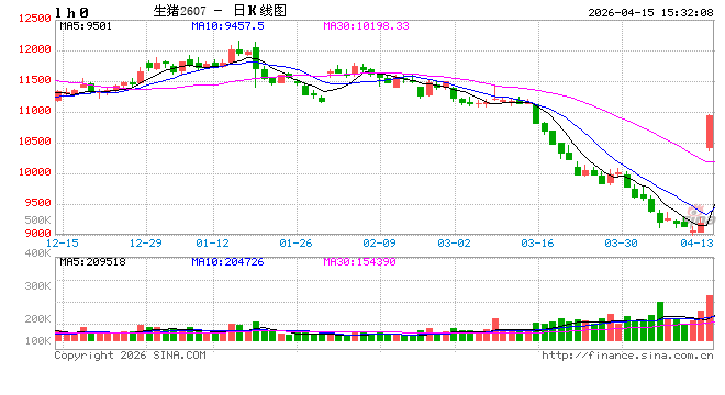 快讯：生猪主力合约日内大涨4.00%，现报9545.00元/吨